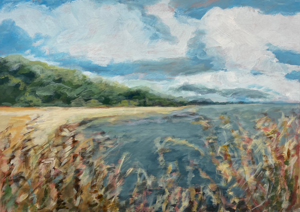 Im Morgendunst am Strand von Wittenbergen